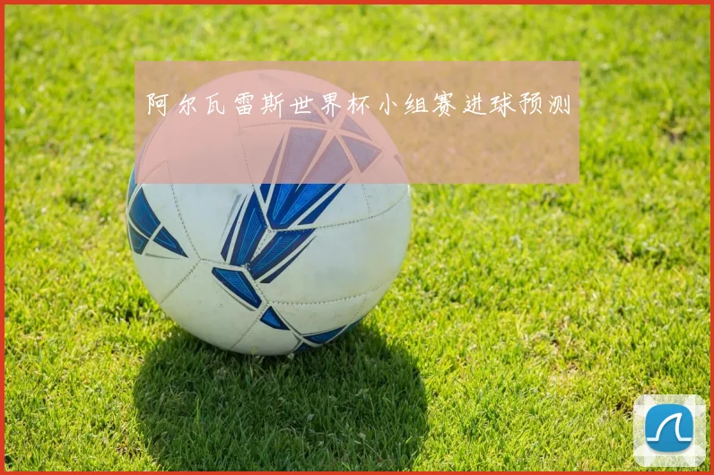 阿尔瓦雷斯世界杯小组赛进球预测