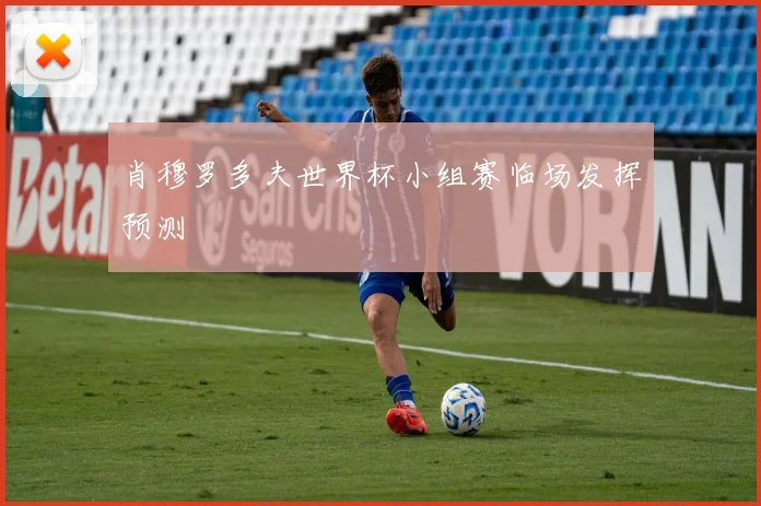 肖穆罗多夫世界杯小组赛临场发挥预测