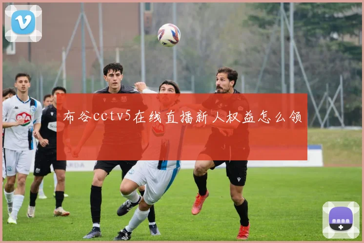 布谷cctv5在线直播新人权益怎么领